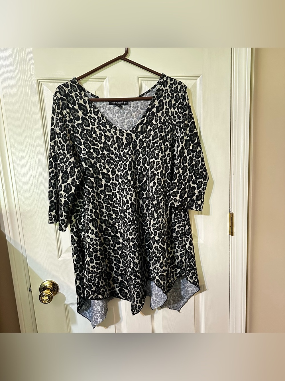 Animal Print V-Neck Tunic Top